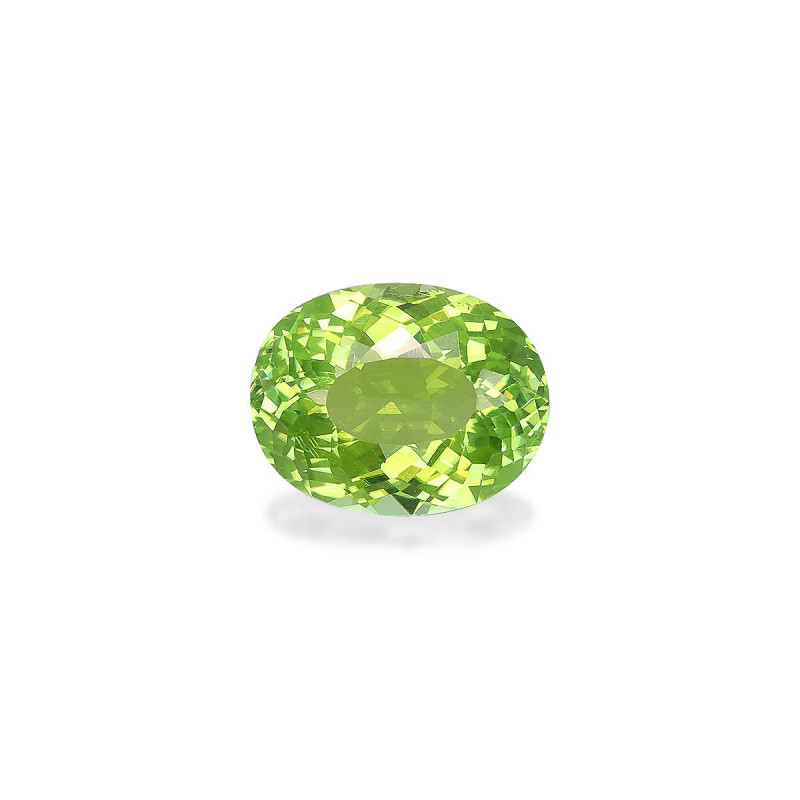 OVAL-cut Cuprian Tourmaline Lime Green 2.84 carats
