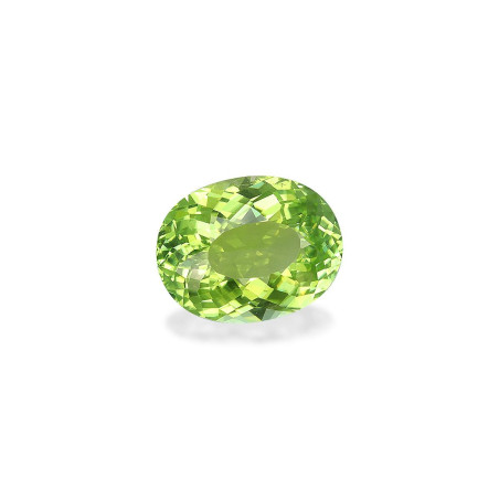 铜电气石 taille 椭圆形 青柠绿 2.84 carats