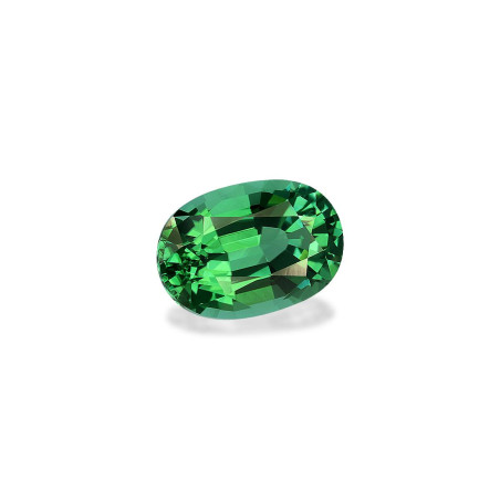 Tourmaline Paraiba lengte OVAL Gr&uuml;n 6.65 karaten