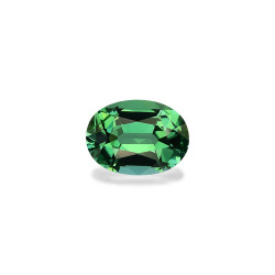 Tourmaline Paraiba taille...