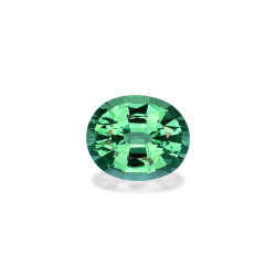 Tourmaline Paraiba taille...