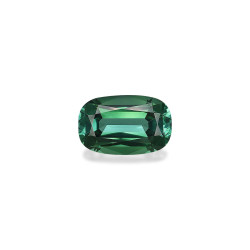 Tourmaline Paraiba taille...