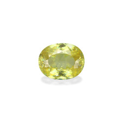 Sphen lengte OVAL Canary...
