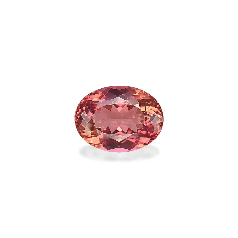 粉红碧玺 taille 椭圆形 鲑鱼色玫瑰 5.54 carats