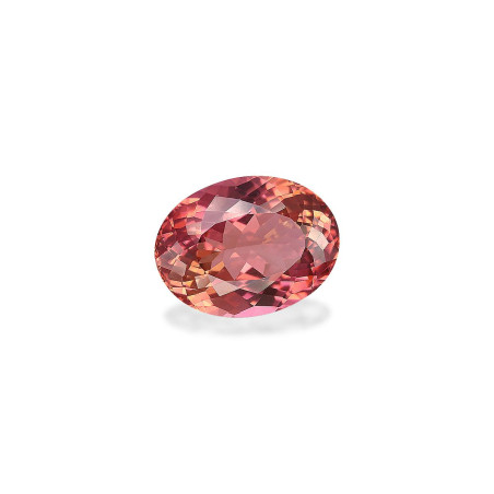 粉红碧玺 taille 椭圆形 鲑鱼色玫瑰 5.54 carats