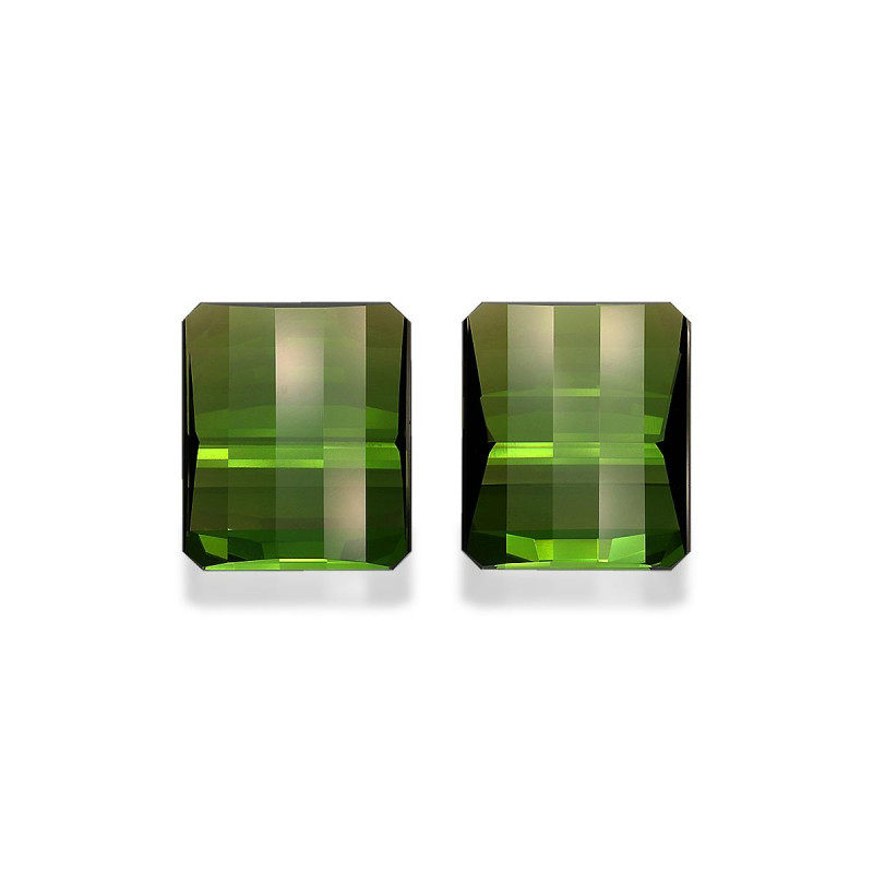 绿色电气石 taille 花式 森林绿 18.75 carats