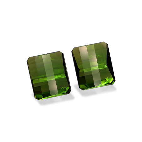 Tourmaline Verte taille FANCY Forest Green 18.75 carats