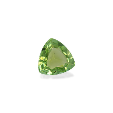 Tourmaline Verte taille Trilliant Vert 6.60 carats