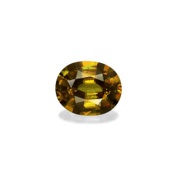 Sphen lengte OVAL  7.36...