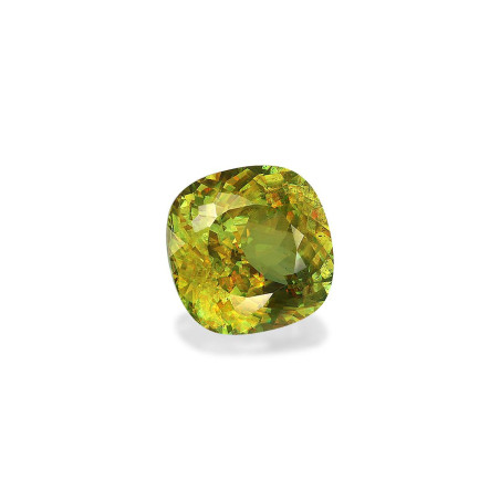 Esfena taille COUSSIN Lime Green 7.86 carats