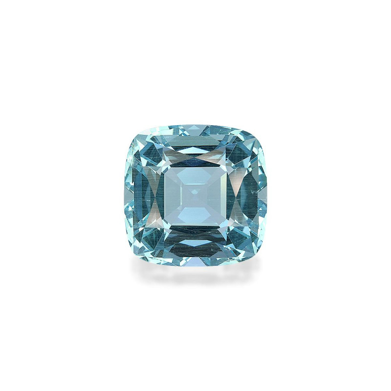 海蓝宝 taille 靠垫 蓝色 32.66 carats