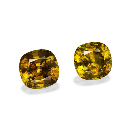 钛鈦矿 taille 靠垫  6.08 carats