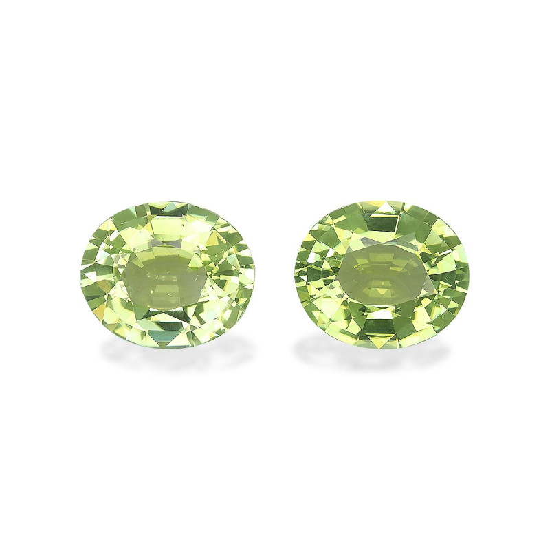 铜电气石 taille 椭圆形 青柠绿 19.72 carats