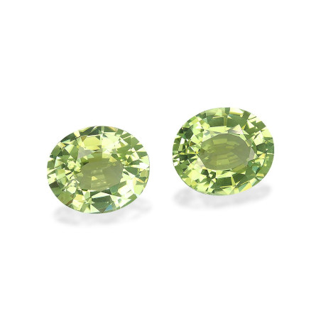铜电气石 taille 椭圆形 青柠绿 19.72 carats
