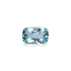 海蓝宝 taille 靠垫 蓝色 3.16 carats