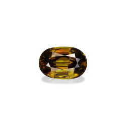 钛鈦矿 taille 椭圆形  7.73 carats