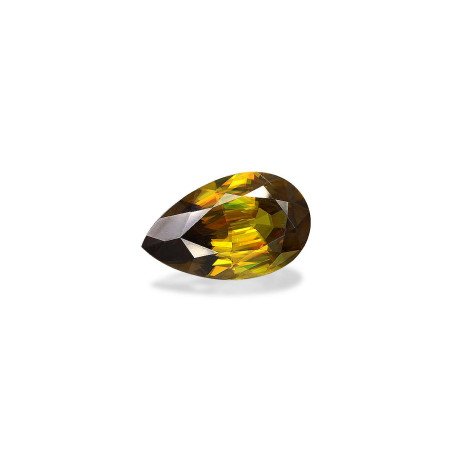 سيفين الحجم كُمَّثرَى Brown 11.81 