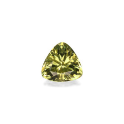 Grenat Grossulaire taille...