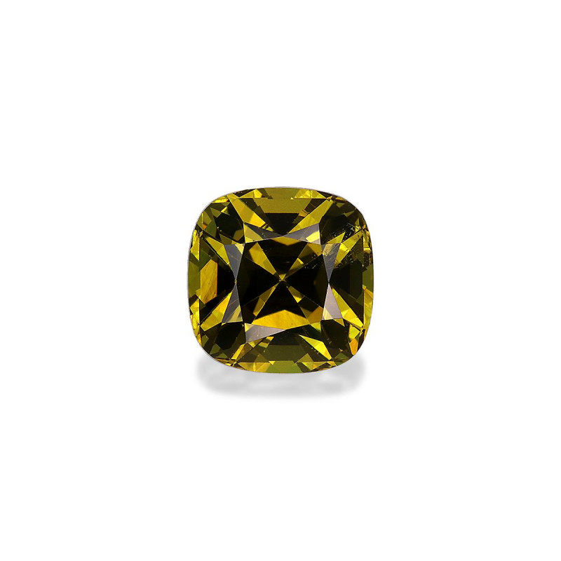 CUSHION-cut Grossular Garnet Forest Green 2.54 carats