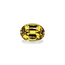 石榴石 taille 椭圆形 黄色 1.47 carats