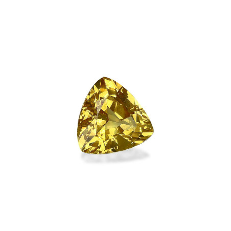 Trilliant-cut Grossular Garnet  1.88 carats