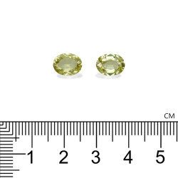 Granaat Grossular OVALE snit Lime Green 3,74 karaat