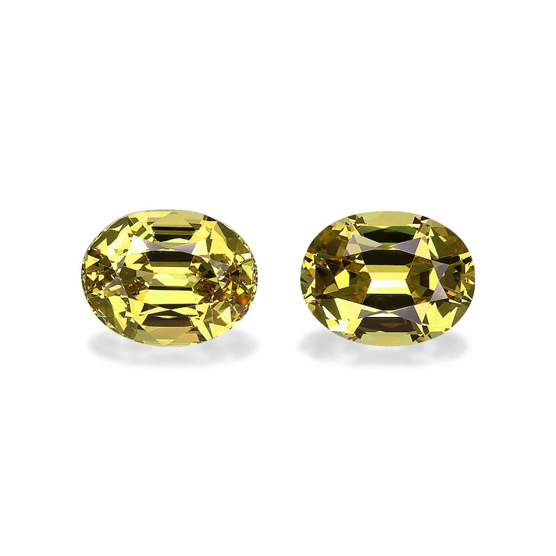 石榴石 taille 椭圆形  5.59 carats
