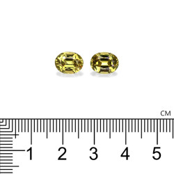 Granaat Grossular OVALE maat 5.59 karaat