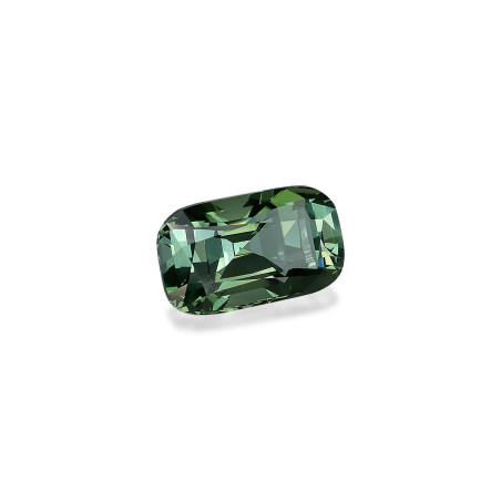 Tourmaline Verte taille COUSSIN Moss Green 6.05 carats