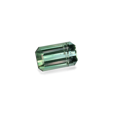 RECTANGULAR-cut Green Tourmaline Cotton Green 3.66 carats