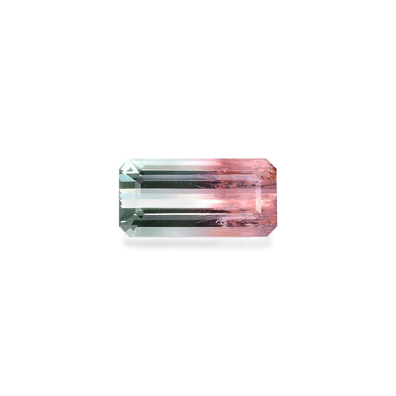 bi colour tourmaline taille 矩形的  9.65 carats
