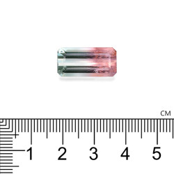 bi-kleurige toermalijn rechthoekige snit 9,65 karaat