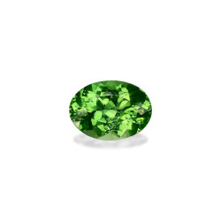 Tourmaline Chromée taille...