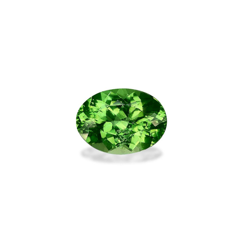 Tourmaline Chromée taille OVALE 绿色 2.13 carats