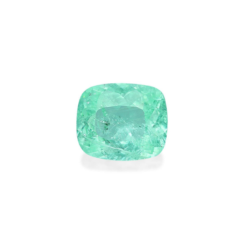 帕拉伊巴电气石 taille 靠垫 绿色 12.65 carats