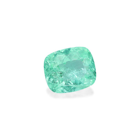 帕拉伊巴电气石 taille 靠垫 绿色 12.65 carats