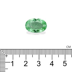 Ovale geslepen Lime Green Paraiba Toermalijn van 7,30 karaat