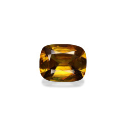 سيفين الحجم وسادة Golden...