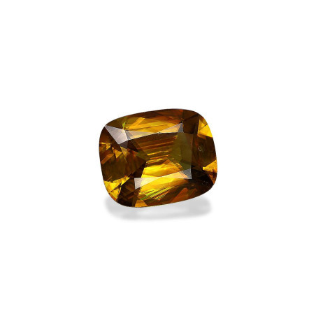 سيفين الحجم وسادة Golden Yellow 9.60 