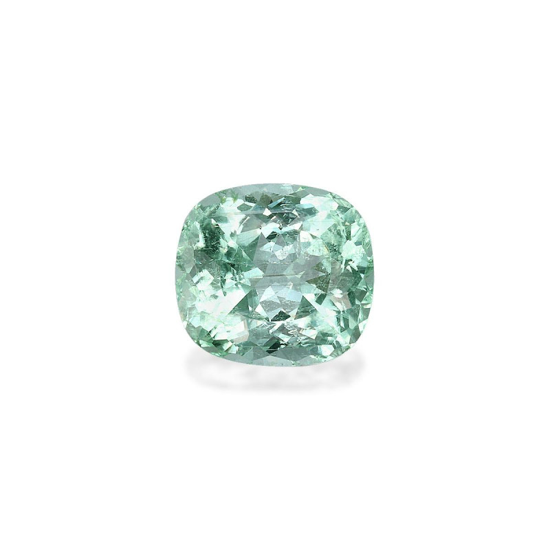 帕拉伊巴电气石 taille 靠垫 绿色 3.13 carats