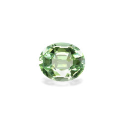 Sphen lengte OVAL Seafoam...