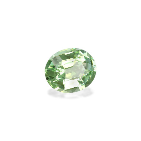سيفين الحجم بيضاوي Seafoam Green 28.51 