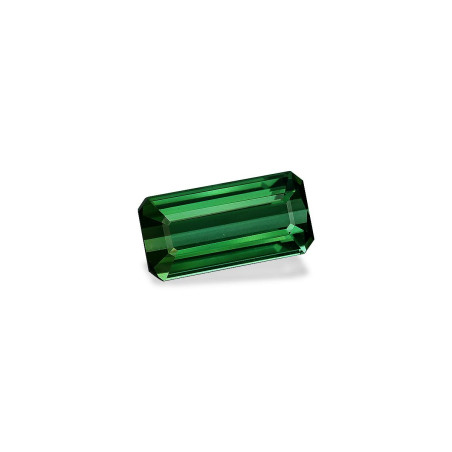 RECTANGULAR-cut Green Tourmaline Green 6.95 carats