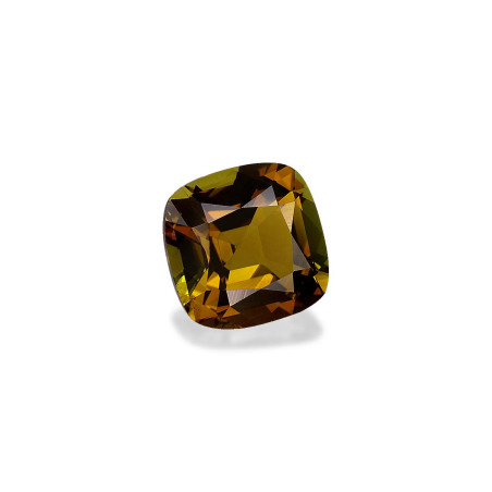 铜电气石 taille 靠垫 森林绿 1.73 carats