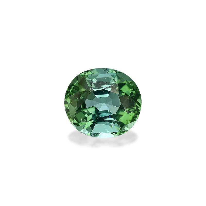 绿色电气石 taille 椭圆形 海沫绿 3.72 carats