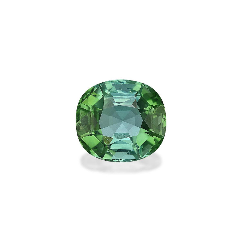绿色电气石 taille 椭圆形 海沫绿 5.55 carats