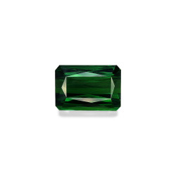 Rechthoekige Basil Green Tourmaline Chrome van 10,98 karaat