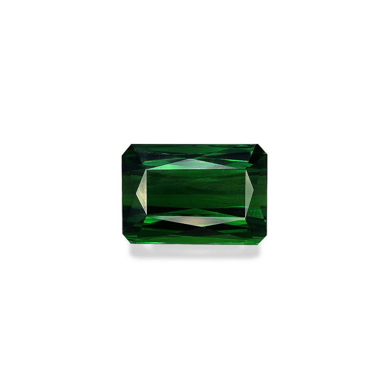 RECTANGULAR-cut Chrome Tourmaline Basil Green 10.98 carats
