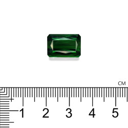 Rechthoekige Basil Green Tourmaline Chrome van 10,98 karaat