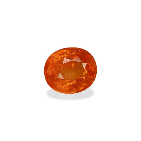 spessartite الحجم بيضاوي البرتقالي 6.90 